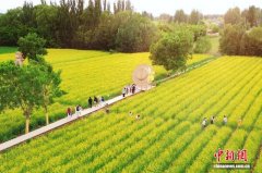 宁夏吴忠：千年古村变身“打卡地” 村民吃上“文旅饭”